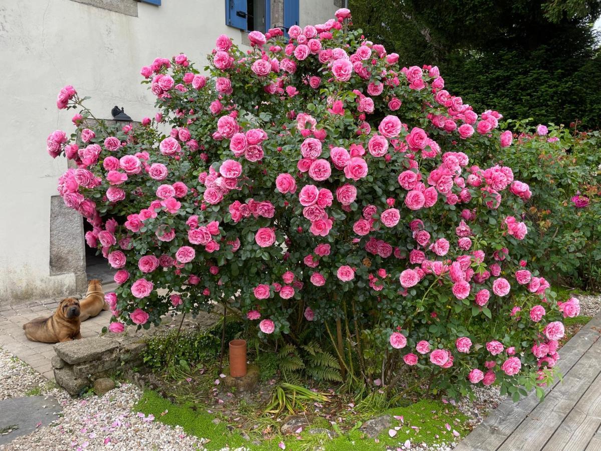 Bed and Breakfast Chez Nosch Plouegat-Guerand Екстер'єр фото